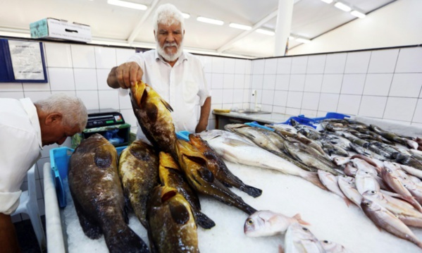 La pêche à l'explosif en Libye, fléau écologique en Méditerranée