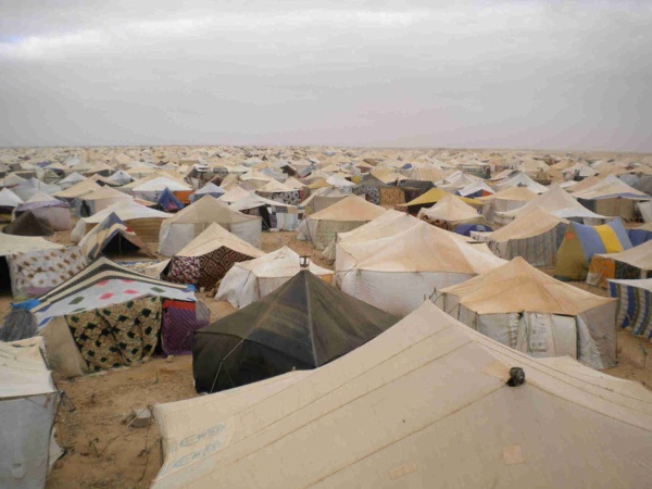 La Tente mauritanienne, expression de l’authenticité pour attirer l’électeur La Tente mauritanienne, expression de l’authenticité pour attirer l’électeur