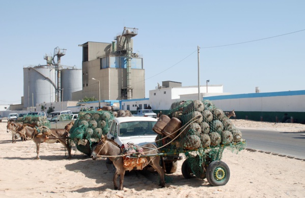 Nouadhibou: le développement significatif des infrastructures a considérablement contribué au renforcement de l’économie et de l’investissement