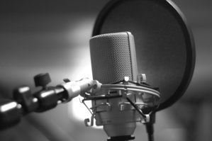 Les partis ont utilisé 73% du temps d'antenne alloué pour la campagne (HAPA)