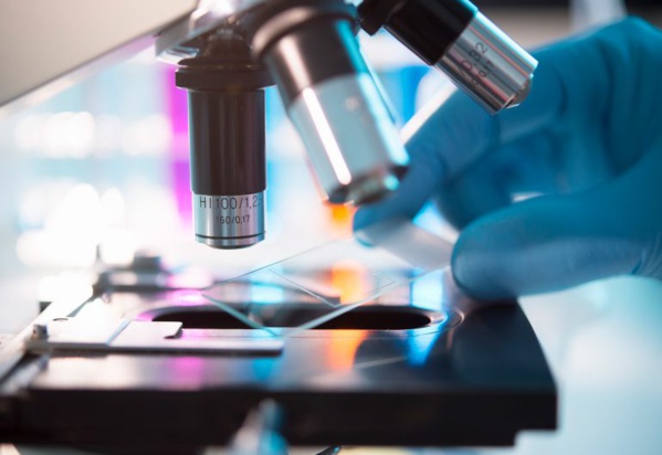 Début du dépouillement des résultats du 1er tour des élections municipales, législatives et régionales Début du dépouillement des résultats du 1er tour des élections municipales, législatives et régionales