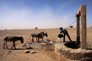 Résultats partiels des municipales pour le Bureau 15 Hassi El Khalva Djiguenny Résultats partiels des municipales pour le Bureau 15 Hassi El Khalva Djiguenny