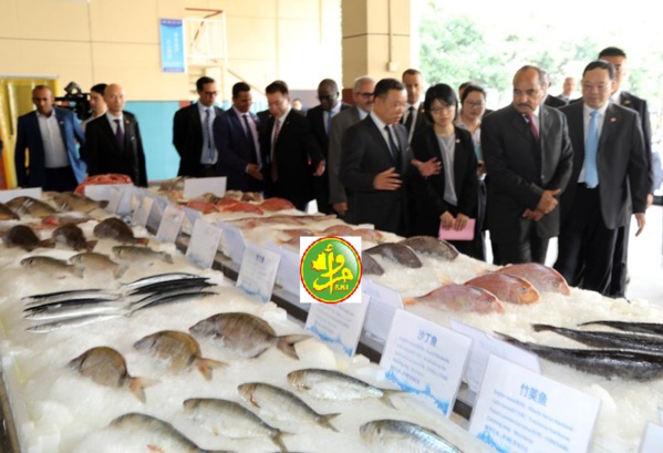 Le Président de la République visite le siège de la société chinoise Poly Hondone-Pelagic Fishing Le Président de la République visite le siège de la société chinoise Poly Hondone-Pelagic Fishing