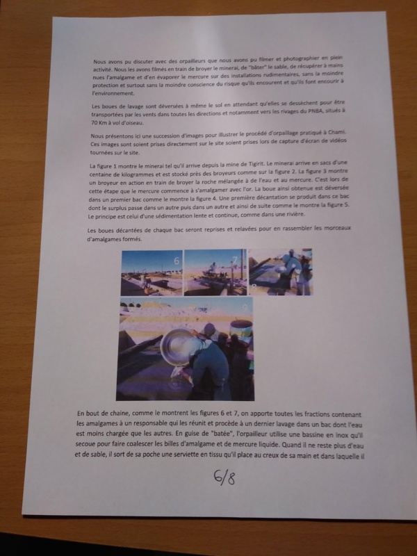 Orpaillage et pollution au Mercure à Chami : note confidentielle
