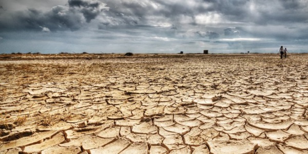 Commémoration de la 33ème journée du CILSS Commémoration de la 33ème journée du CILSS