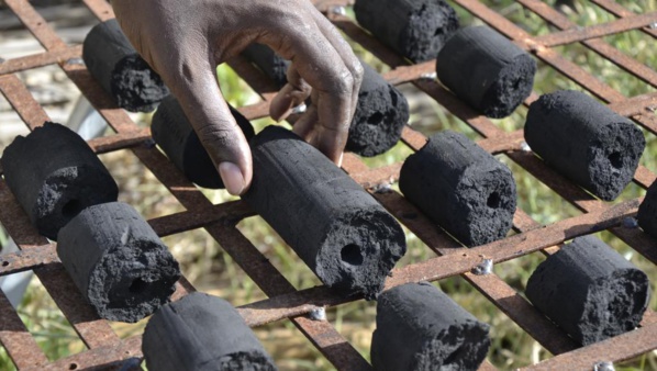 Sénégal-Mauritanie : Un projet qui fera du bien à l’environnement et l’économie Sénégal-Mauritanie : Un projet qui fera du bien à l’environnement et l’économie