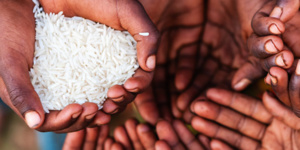 Nutrition et soins de base : la Mauritanie en tête du Magreb Nutrition et soins de base : la Mauritanie en tête du Magreb