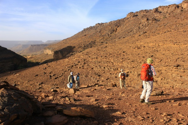 Tchad, Mauritanie ou Botswana: l'Afrique veut séduire les voyagistes français Tchad, Mauritanie ou Botswana: l'Afrique veut séduire les voyagistes français