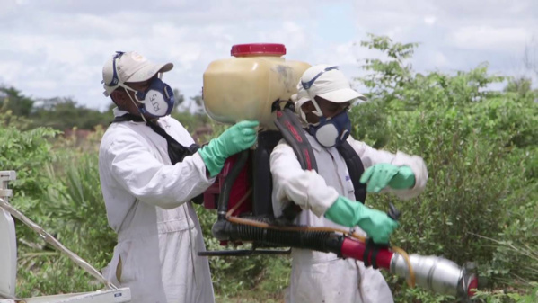 Lutte antiacridienne: le Maroc envoie des équipes spécialisées en Mauritanie Lutte antiacridienne: le Maroc envoie des équipes spécialisées en Mauritanie