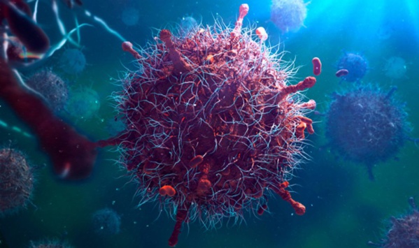 Session de formation sur la mise en place d’un système de surveillance active des agents pathogènes Session de formation sur la mise en place d’un système de surveillance active des agents pathogènes