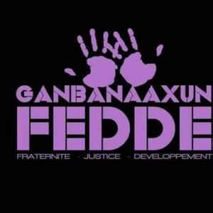 Communiqué de presse : Des extrémistes féodaux agressent sauvagement des paisibles citoyens dans des localités soninkés au Mali.