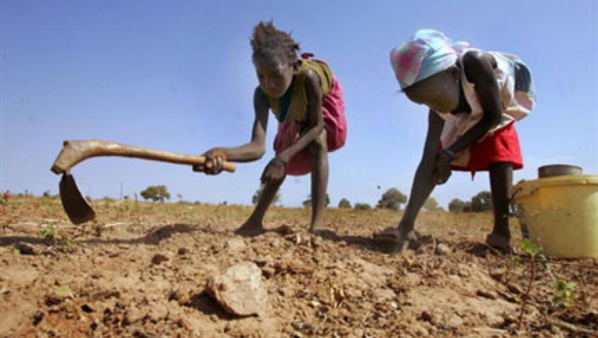 Mauritanie: le manque de pluies accroît les risques de malnutrition