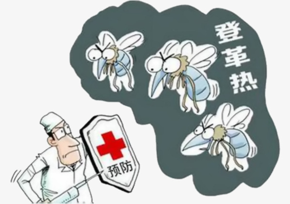 zouérate : risque de dengue au 3ème degré