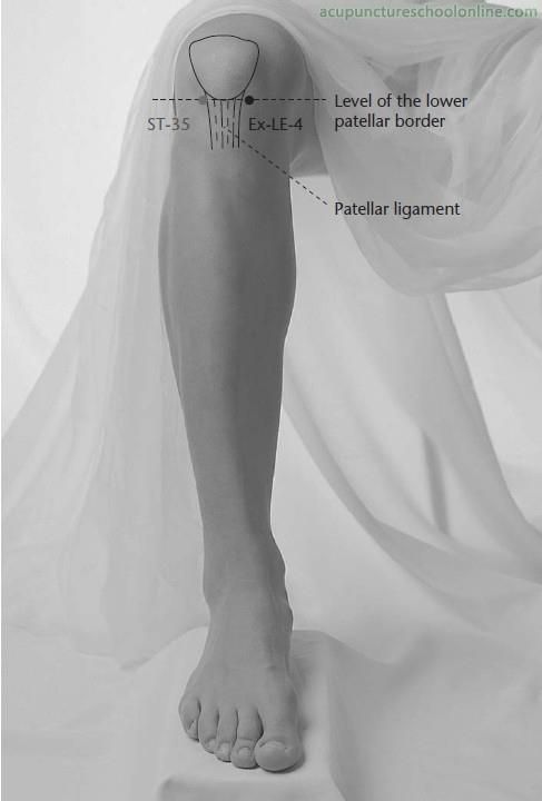 Le gaspillage a mis la SNIM à genou Le gaspillage a mis la SNIM à genou