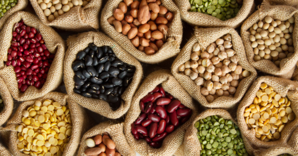 Distribution des quantités de semences améliorées aux coopératives des maraichères à Kiffa Distribution des quantités de semences améliorées aux coopératives des maraichères à Kiffa