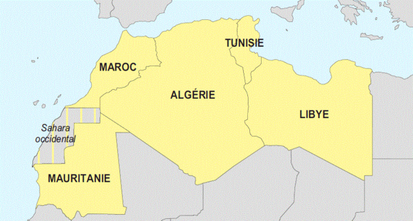 La Mauritanie désire accueillir une session extraordinaire des ministres des affaires étrangères de l’UMA