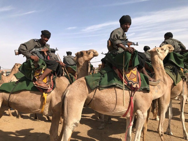 En Mauritanie, l’armée patrouille à dos de chameau En Mauritanie, l’armée patrouille à dos de chameau