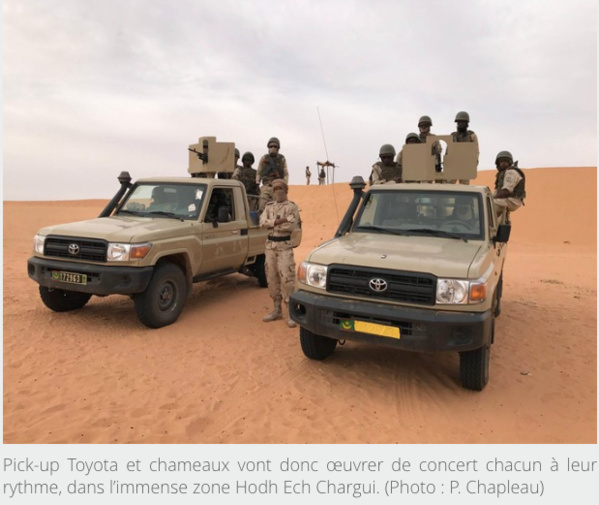 En Mauritanie, l’armée patrouille à dos de chameau En Mauritanie, l’armée patrouille à dos de chameau