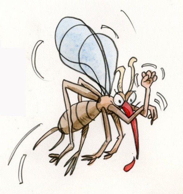 Rosso : campagne de pulvérisation des marécages et de distribution de moustiquaires