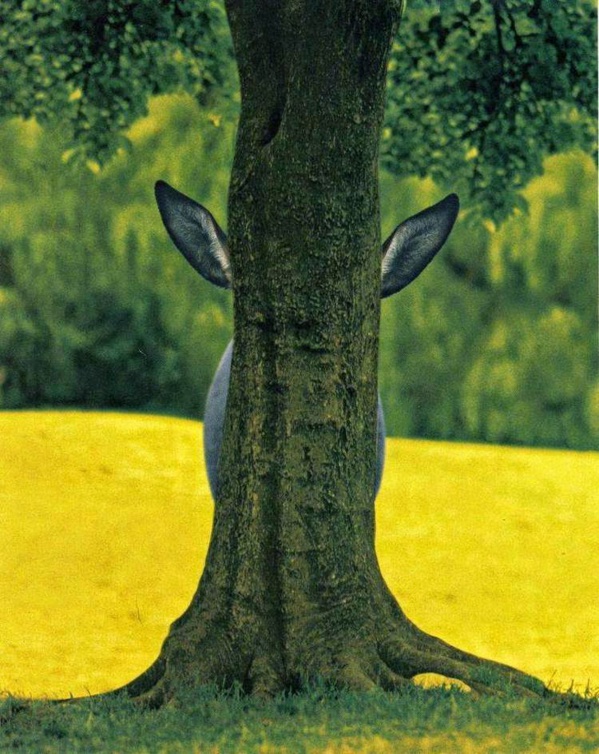 Rapport de Global Competitivenesse International : La Mauritanie à la queue Rapport de Global Competitivenesse International : La Mauritanie à la queue