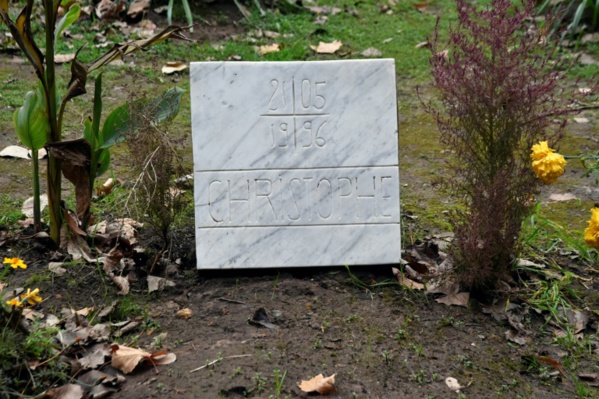 A Oran, l'Eglise béatifie 19 religieux catholiques assassinés en Algérie A Oran, l'Eglise béatifie 19 religieux catholiques assassinés en Algérie