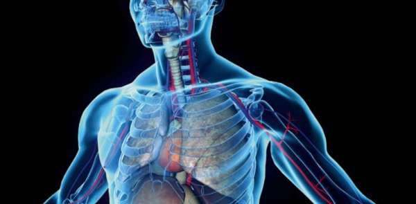 Hôpitaux publics : contagion de panne des scanners Hôpitaux publics : contagion de panne des scanners