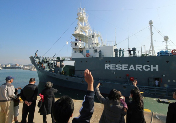 Le Japon va reprendre officiellement la chasse commerciale des baleines