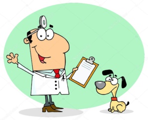 Inauguration d'une pharmacie vétérinaire équipée dans la moughataa de R'Kiz Inauguration d'une pharmacie vétérinaire équipée dans la moughataa de R'Kiz