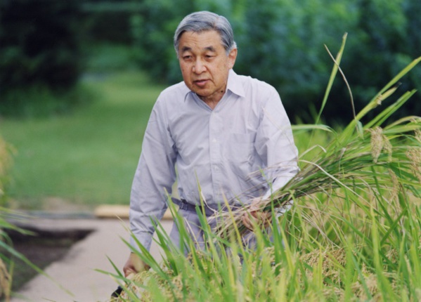 Les empereurs japonais, du statut divin au rôle symbolique Les empereurs japonais, du statut divin au rôle symbolique