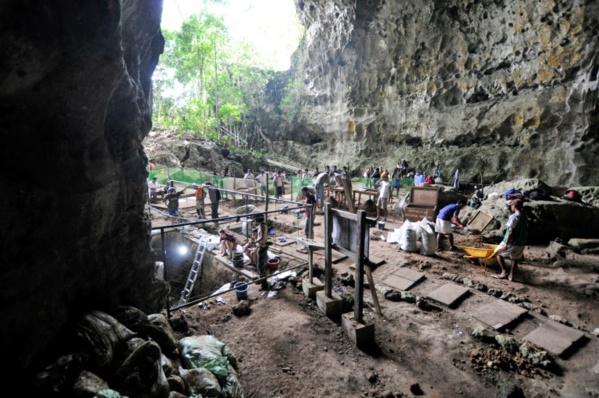 Une nouvelle espèce humaine découverte aux Philippines