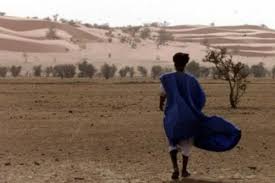 Mauritanie : 2.000 hectares ont été grillagés pour protéger les sols (ministre de l’environnement)