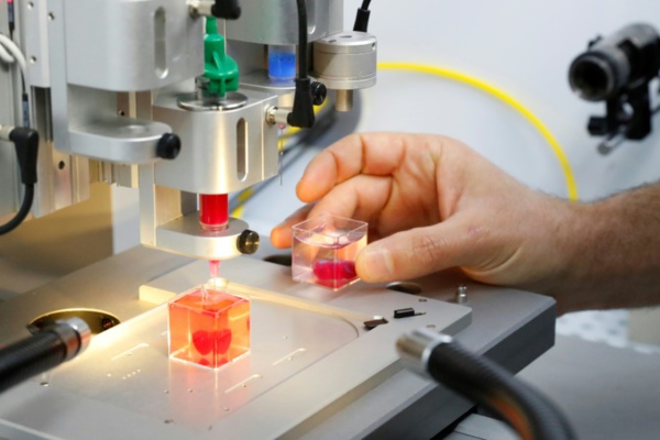 Des scientifiques présentent un prototype de cœur en 3D à partir de tissu humain Des scientifiques présentent un prototype de cœur en 3D à partir de tissu humain