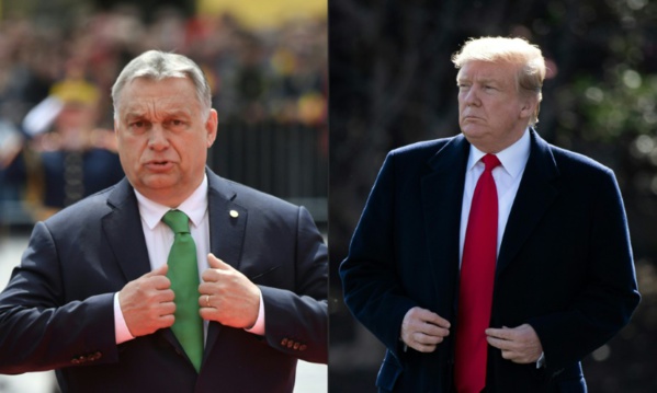 Trump reçoit le Hongrois Orban malgré les critiques