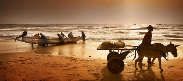 Mauritanie : les comptes publics se redressent, pas le secteur privé Mauritanie : les comptes publics se redressent, pas le secteur privé