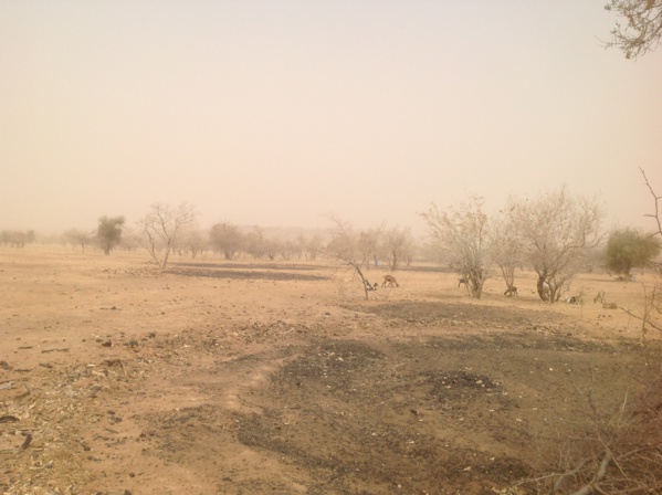 Ruiner son avenir Ruiner son avenir