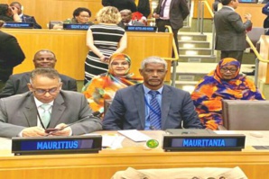 La Mauritanie réélue membre du comité de l'ONU pour l'élimination de la discrimination raciale