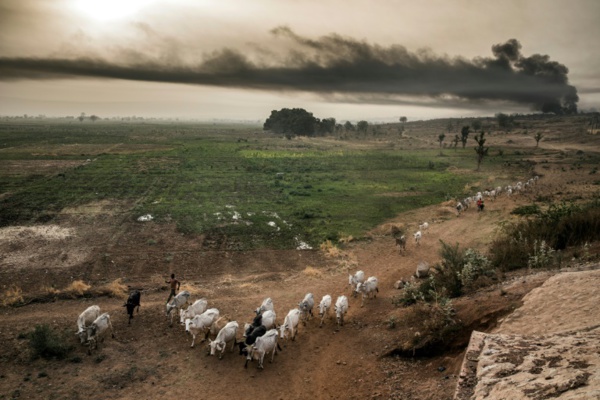 Peuls au Nigeria: la guerre de la terre