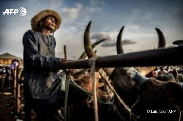 La guerre de la terre La guerre de la terre