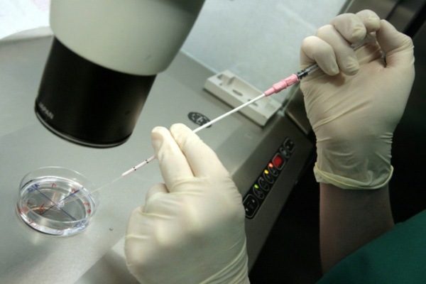 PMA pour toutes: "Nous, les célibataires, on sera les dernières servies" PMA pour toutes: "Nous, les célibataires, on sera les dernières servies"