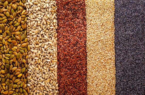 Expédition de semences traditionnelles dans les zones de production Expédition de semences traditionnelles dans les zones de production