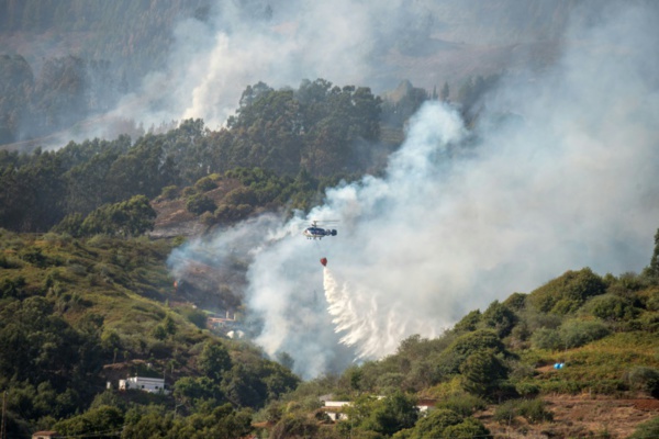 "Drame environnemental" à Grande Canarie, ravagée par un incendie