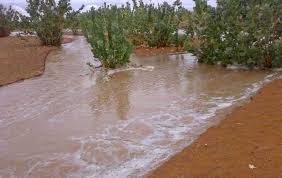 Pluies : 40, 15 et 27 mm tour à tour à Basseknou, Lekarich et Fassala