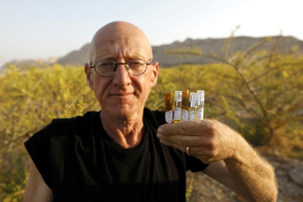 Des parfums de l'Antiquité "revivent" près de la mer Morte