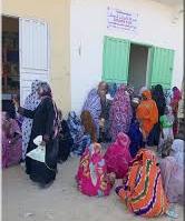 Se réveiller entre 3H et 4H du matin pour 2 kg de poisson Se réveiller entre 3H et 4H du matin pour 2 kg de poisson