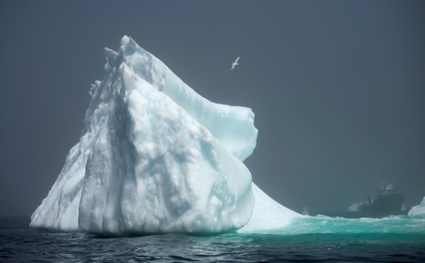 Les océans en passe de devenir nos pires ennemis, alerte l'ONU