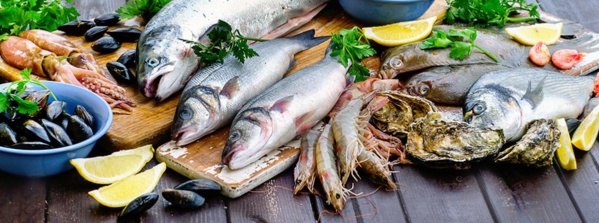 Le ministre des pêches achève sa visite à Nouadhibou Le ministre des pêches achève sa visite à Nouadhibou