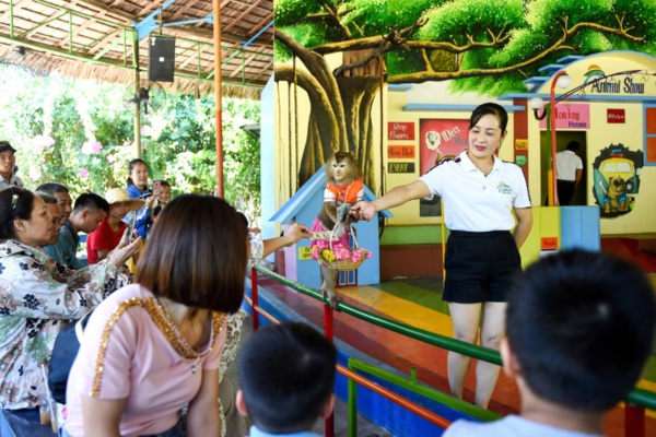 Accueil Actualités Vietnam: sur l'île aux singes, le sourire des touristes, la grimace des défenseurs des animaux Accueil Actualités Vietnam: sur l'île aux singes, le sourire des touristes, la grimace des défenseurs des animaux