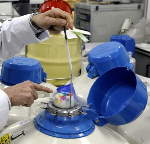 GPA, PMA post-mortem... Les lignes rouges de la future loi de bioéthique GPA, PMA post-mortem... Les lignes rouges de la future loi de bioéthique