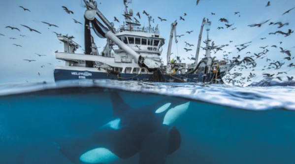 Le ministre des Pêches s’entretient avec la chef de la mission de l’OIM