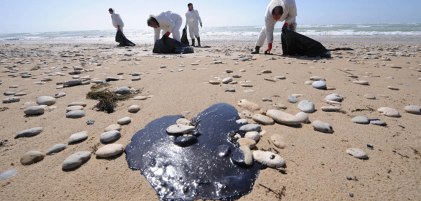 Ouverture d’un atelier sur la lutte contre la pollution par hydrocarbures Ouverture d’un atelier sur la lutte contre la pollution par hydrocarbures